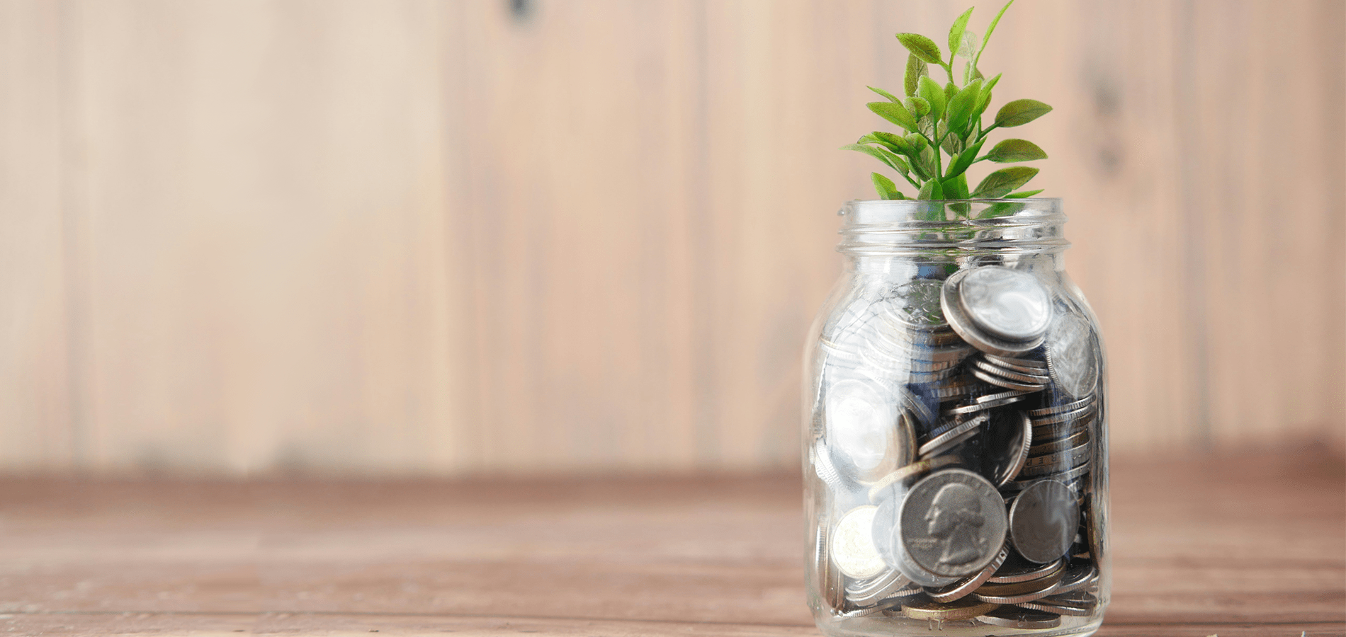 jar of quarters with a plant coming out at the top