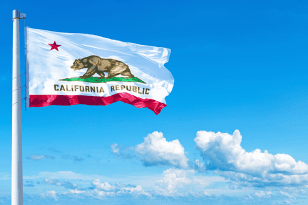 State of California flag flying