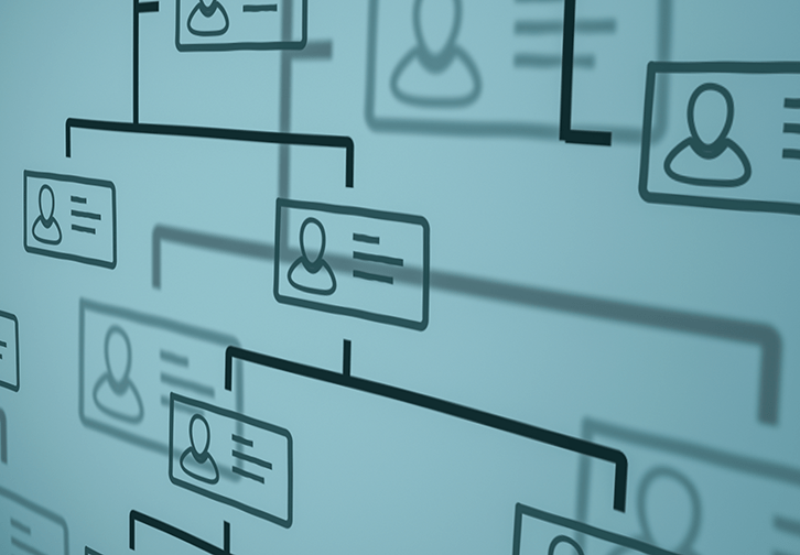 organizational chart illustration